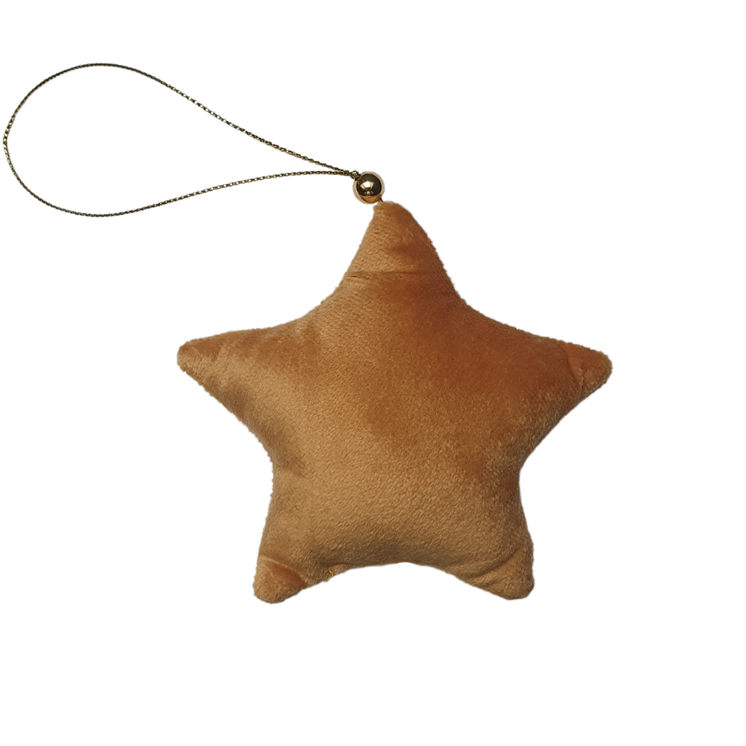 Suspensions étoiles de Noël personnalisées